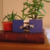 Blue Book Wyrm in the Wild