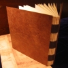 DaVinci Artist Book