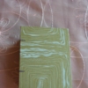 Green Retro traveling book
