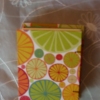 Citrus Delight Travel Book