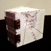 Zombie Love Book
