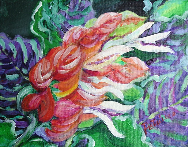 Shrimp Plant