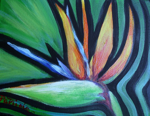 Bird of Paradise