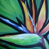 Bird of Paradise