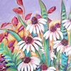 Purple Cone Flowers