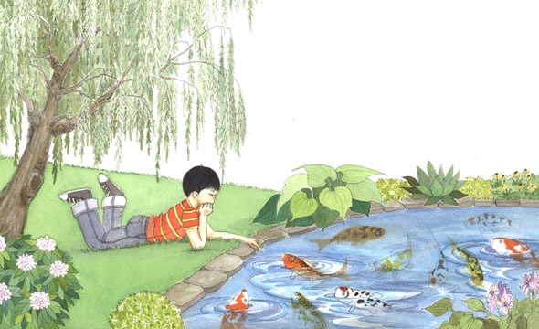 Boy's Koi Pond