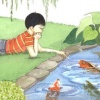 Boy's Koi Pond