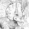 Triceratops