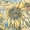 Follow the Sun