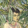 Shady Money Tree