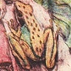 Frog Prince