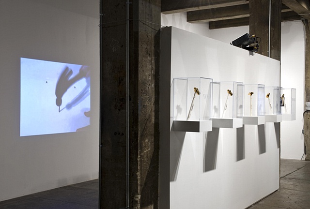 WORK ETHIC, Installation View 1