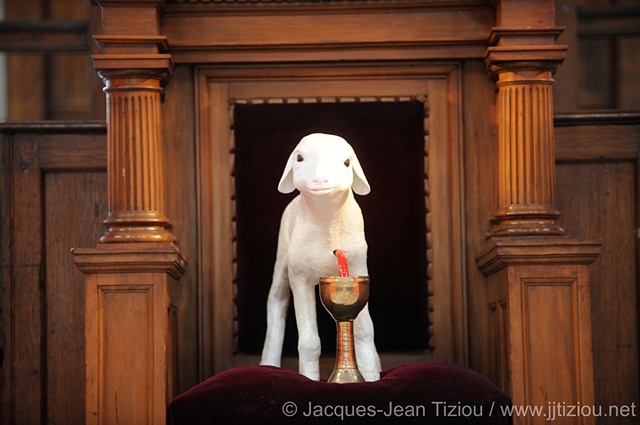 Like Lambs, Christ Lamb