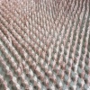 Multichrist, detail.