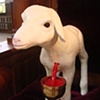 Like Lambs