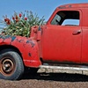 Red Tulip Truck