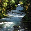 McKenzie River 