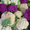 Purple & White Cauliflower