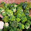 Broccoli Basket