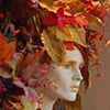 Fall Splendor 1