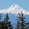 Mt. Hood