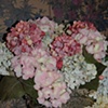 Silver Vase