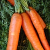 Carrots