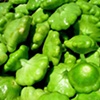 Squash
