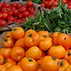 Yellow & Red Tomatoes