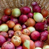 Onion Basket