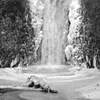 Frozen Pool