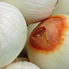 White Onions