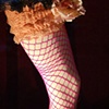 Netted Leg