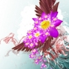 Fallen Flower