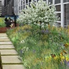 Roof Terrace