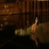 Penguin Swing