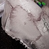 Ice Shark detail with chain