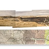 WYODAK MINE