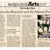NEW YORK TIMES ART REVIEW