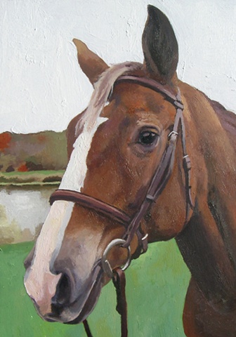 Beau the Horse
