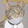 Delphie the Cat