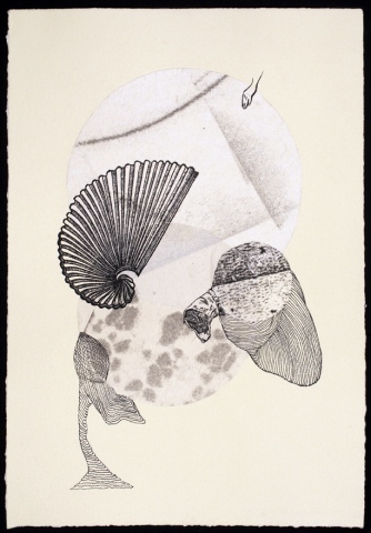 untitled (shell and dog)