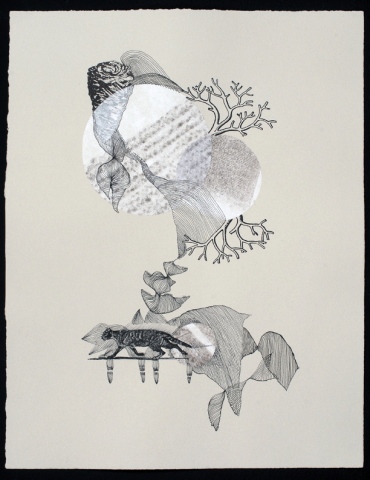 untitled (cat)