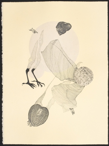 untitled (legs/shell)