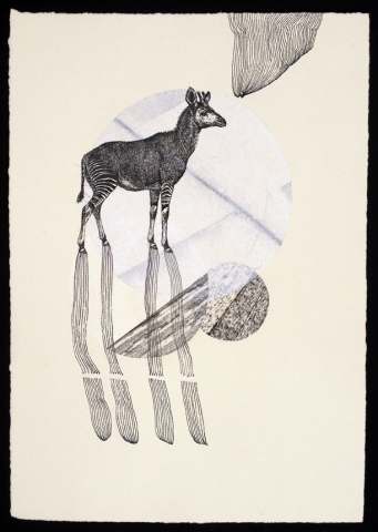 untitled (okapi)