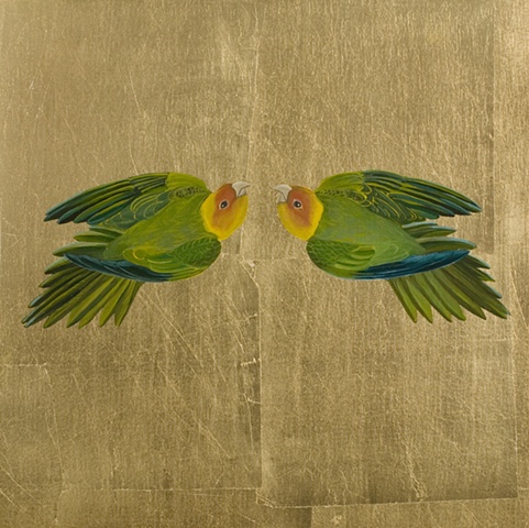 Still Life - Carolina Parakeet