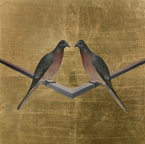 Still Life - Passenger Pigeon
