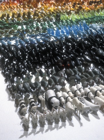 Taxonomy (detail)
