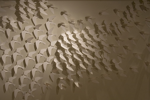 Twice : Migration (Installation View 6)