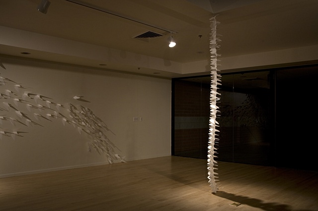 Twice : Migration (Installation View 9)